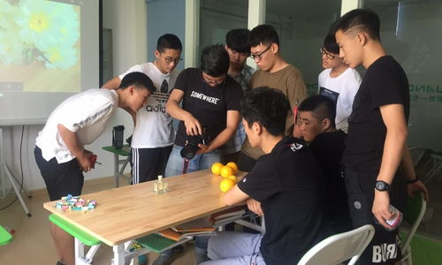 青島創(chuàng)藝教育與淘學(xué)培訓(xùn) 教育咨詢服務(wù)體驗深度解析