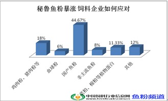 代辦昌平區勞務派遣許可證、公司增資墊資與專業勞務派遣服務全攻略