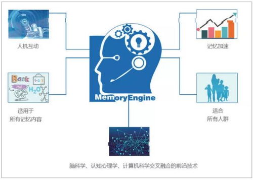 開學(xué)秒變 學(xué)渣 為什么孩子學(xué)英語投入大,效果差 原來癥結(jié)在這里